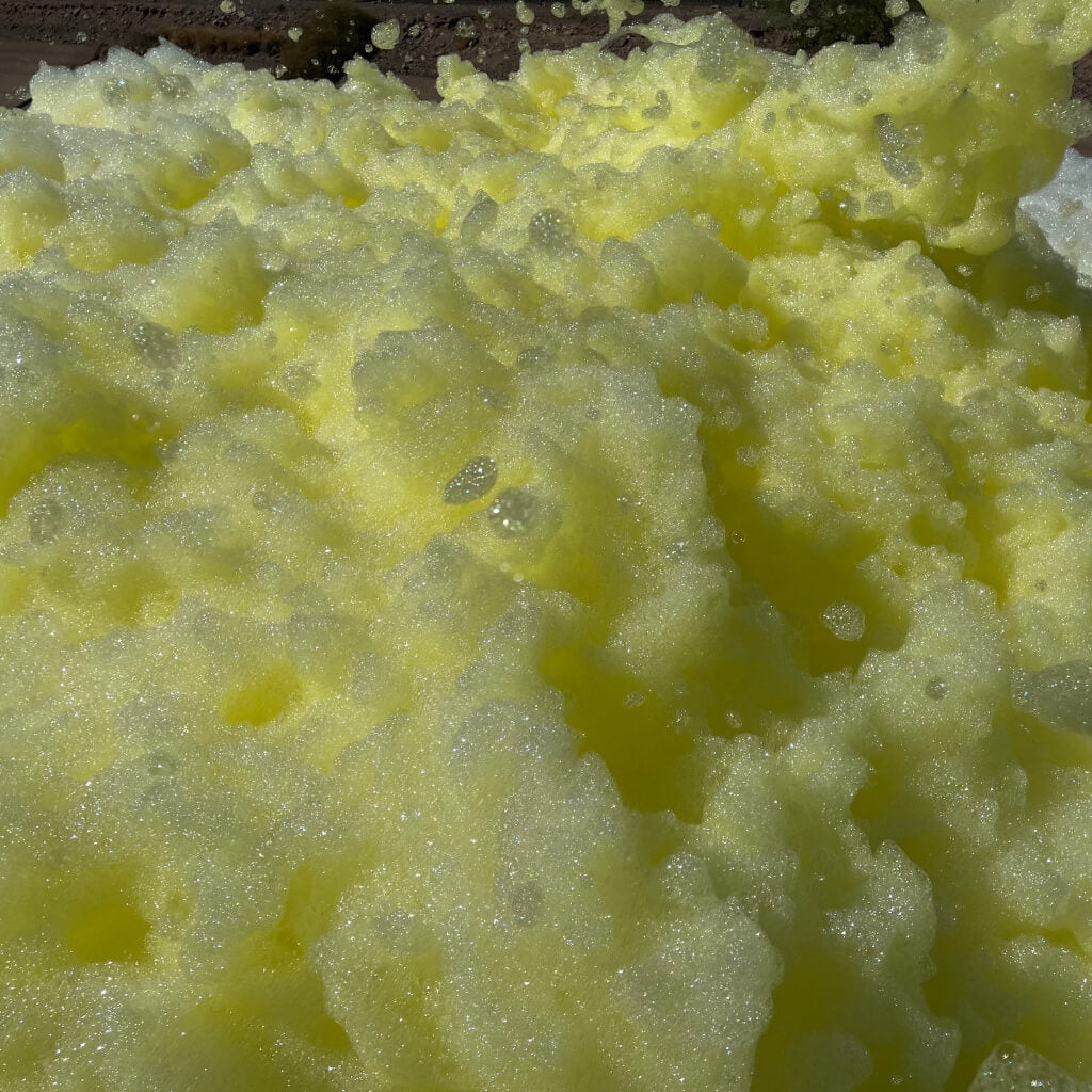 Yellow Foam Coloring
