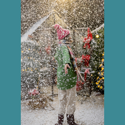 FoamDaddy Snow Solution - One per client please
