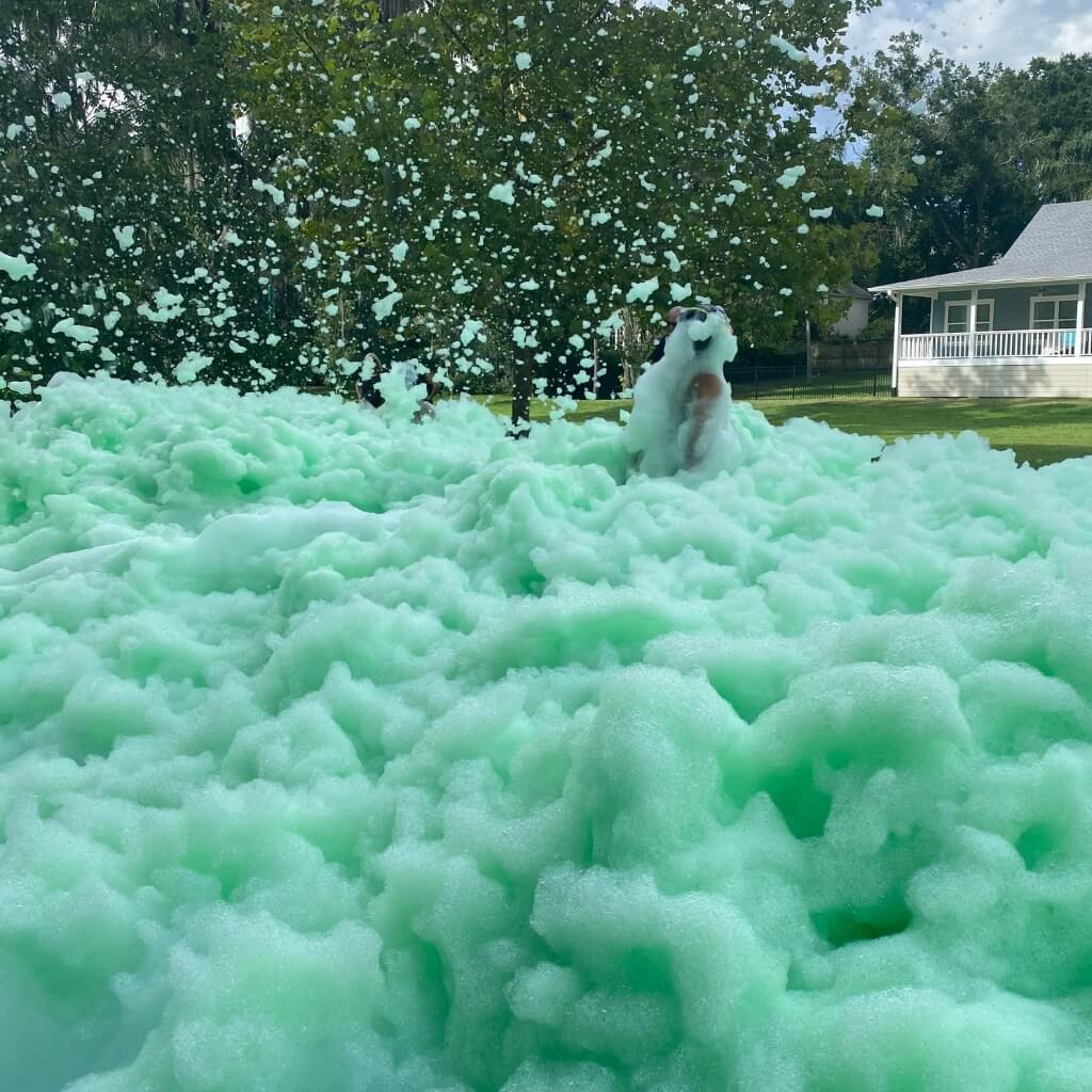 Green Foam Coloring